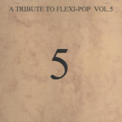 A Tribute To Flexi-Pop Vol.5