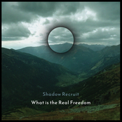 What is the Real Freedom