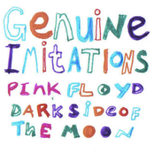 Pink Floyyd Dark Side of the Mooon