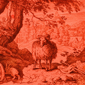 The Mighty Ram