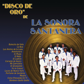 El Disco De Oro