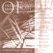 Intimations Of Immortality