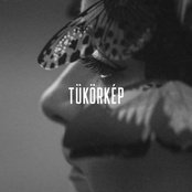 Tükörkép (Akusztik)