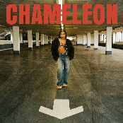 Chameleon