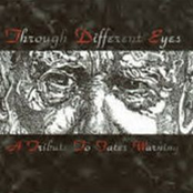 Through Different Eyes