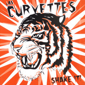 Shake It