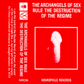 The Archangels Of Sex Rule The Destruction Of The Regime