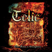 This Path is Overgrown