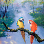 man, fuck this nigga