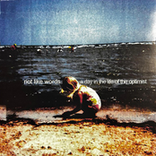 A Day in the Life of the Optimist