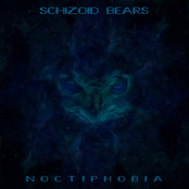 Noctiphobia