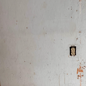 Wildcard: wildcard art display