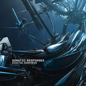 Digital Darkness by Somatic Responses