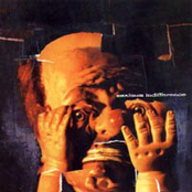 Maximum Indifference (self titled)