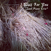 I Wait for You