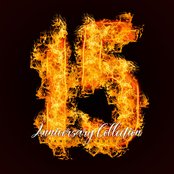 15th Anniversary Collection