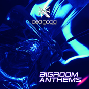Bigroom Anthems