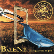 Balene (C'è Qualcosa Di Più)