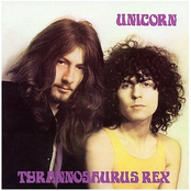 'pon A Hill by T. Rex