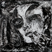 Behornad Och Beklädd