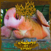 Los Criadores De Cerdos