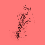 Klaidosklaida (reworks)