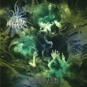 Narcissus Rising (A Metamorphosis In Three Acts)