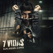 7 VIDAS - Single