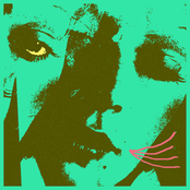 Onde é que a gente foi se meter