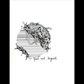 Real and Imagined