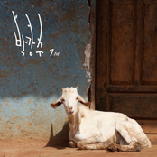 박강수 7집 - 1st 나비