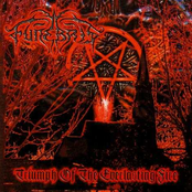 Triumph Of The Everlasting Fire by Funebris