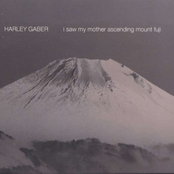 Gaber, H.: I Saw My Mother Ascending Mount Fuji