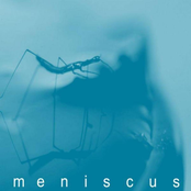 Cusp by Meniscus