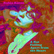 A Rat Falling Apart from the Heart