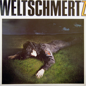 weltschmertz