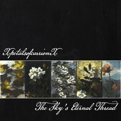 The Sky's Eternal Thread