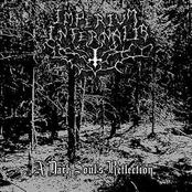 A Dark Soul's Reflection