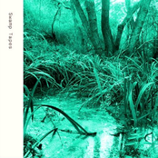 Swamp Tapes 001