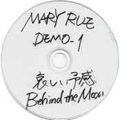 DEMO-1