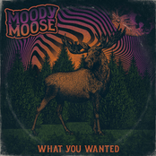 Moody Moose: What You Wanted