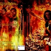 Rebel Souls Of Chãos