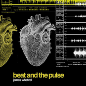 Beat and the Pulse