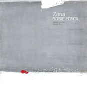 Zima (single)