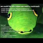 We Could Live Till a Robot Can Catch a Cockroach