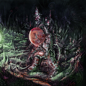 Das Profundezas, Emerjo!