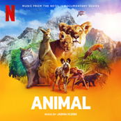 Animal (Music From The Netflix Documentary Series)