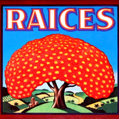 Raíces