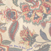 Elos Arma/Junior Bob Split