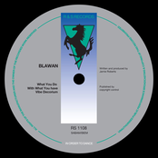 What You Do With What You Have